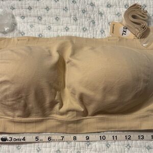 Elegant Cream Bandeau by Brand